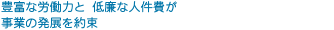 豊富な労働力と 低廉な人件費が 事業の発展を約束